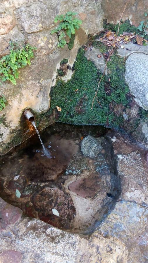 Apartament Rural Vilaplana エクステリア 写真
